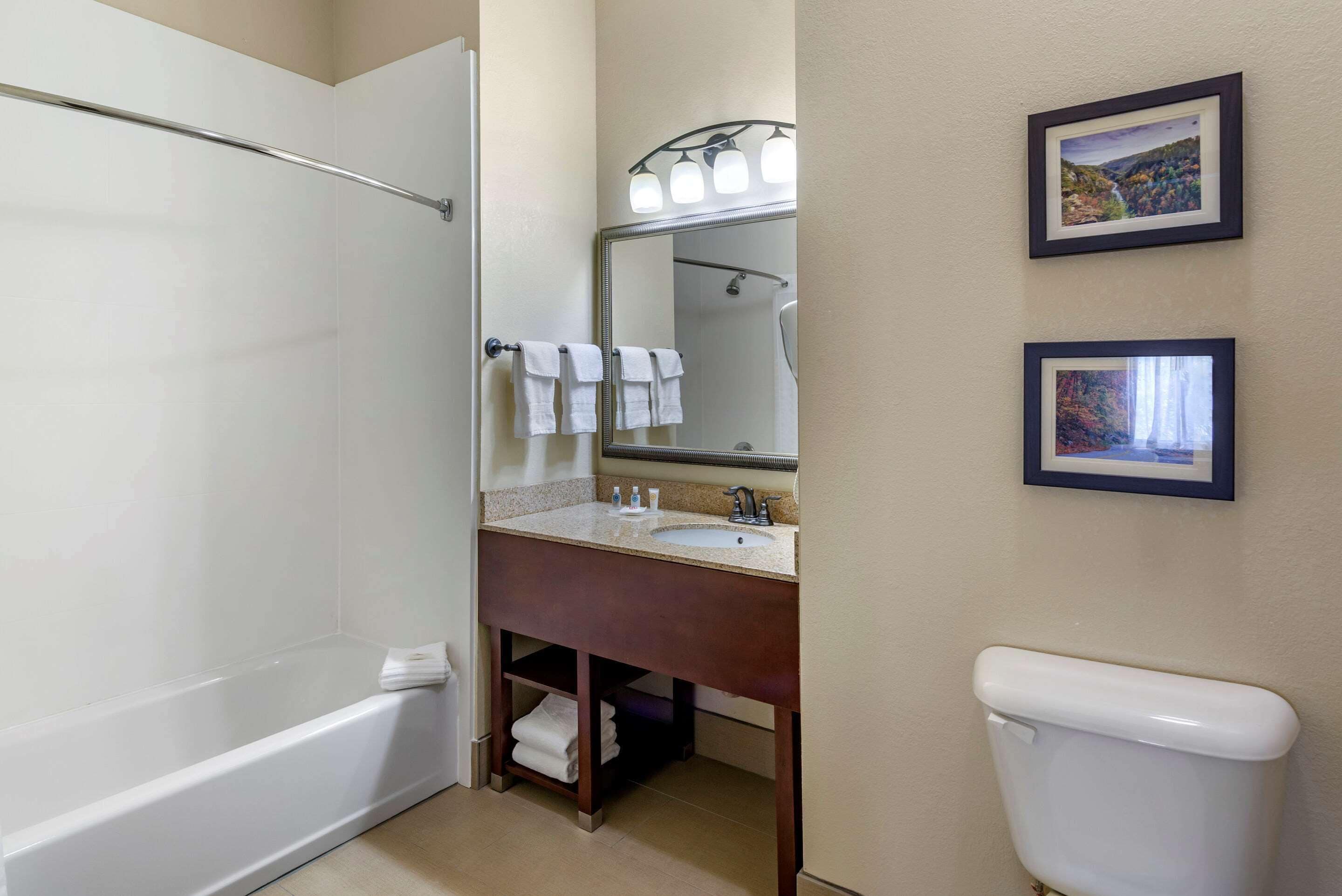 combined shower/bathtub, free toiletries, hair dryer, towels