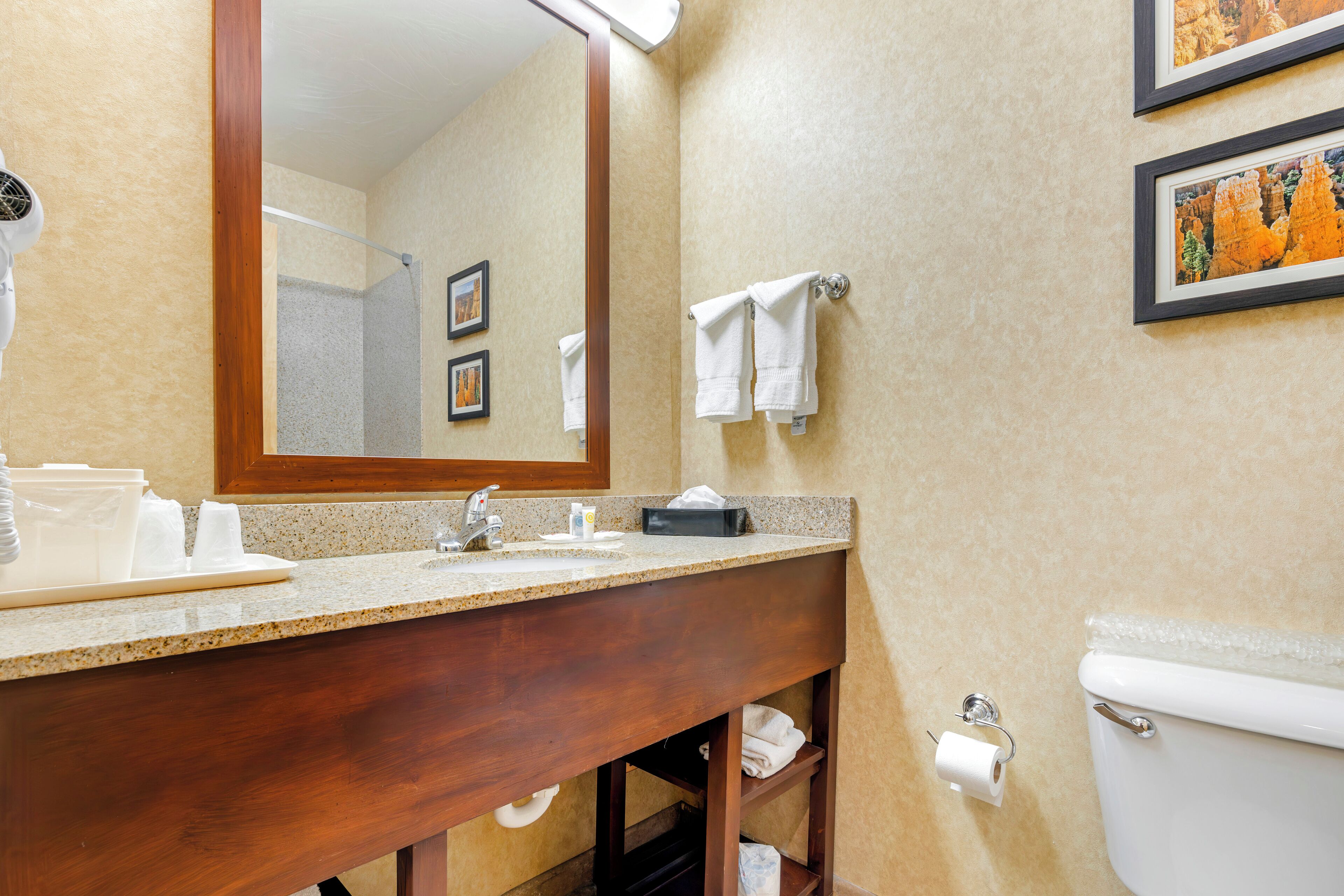 combined shower/bathtub, free toiletries, hair dryer, towels