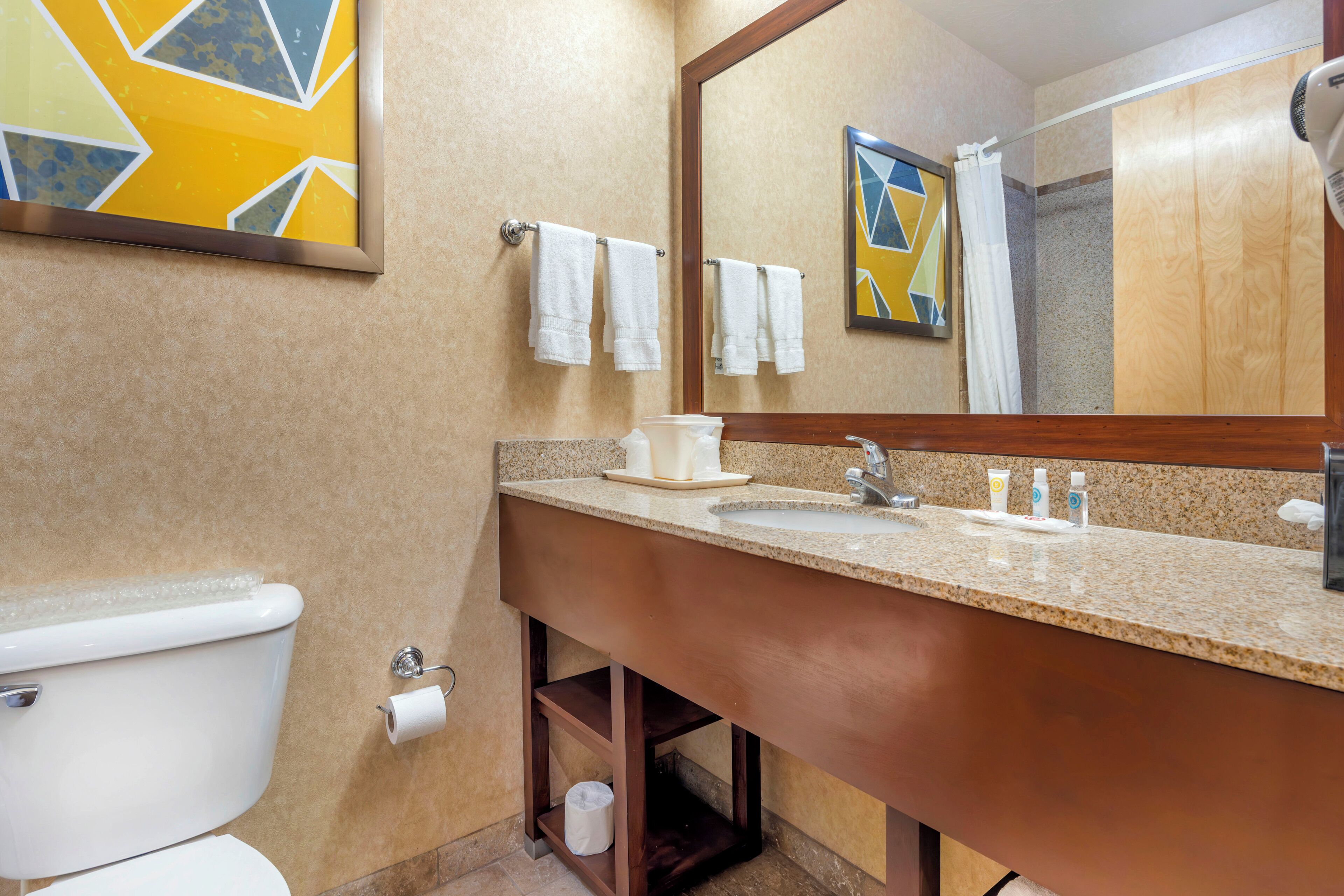 combined shower/bathtub, free toiletries, hair dryer, towels