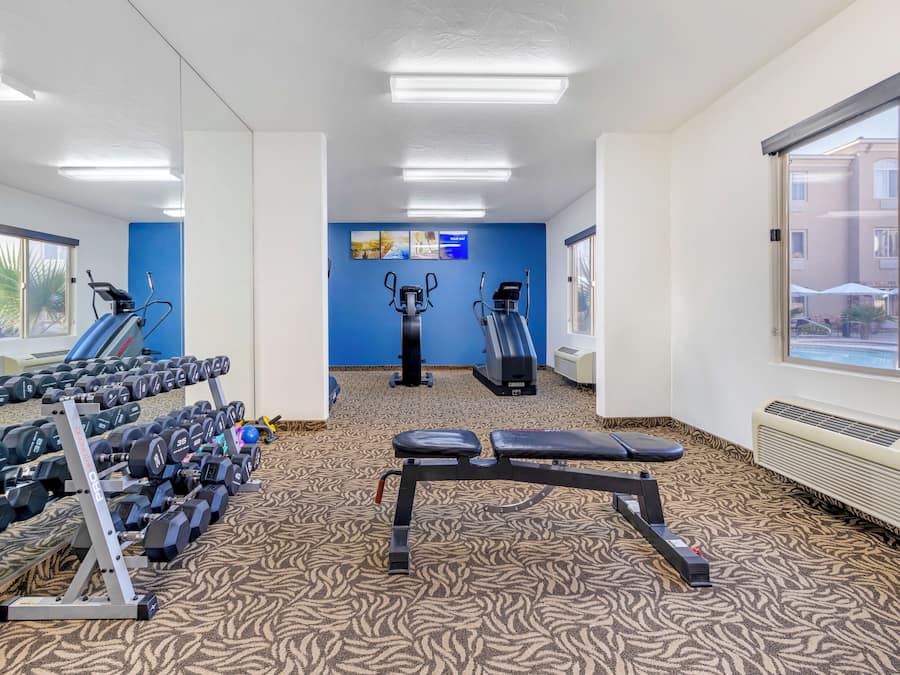 A gym with exercise equipment, a treadmill, and a stationary bike.