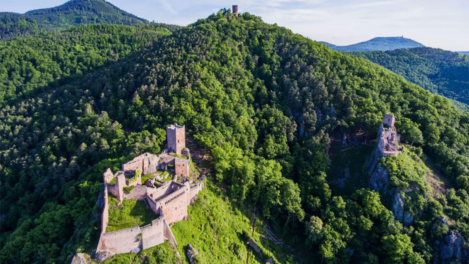 A historic castle surrounded by dense forest on a hill.