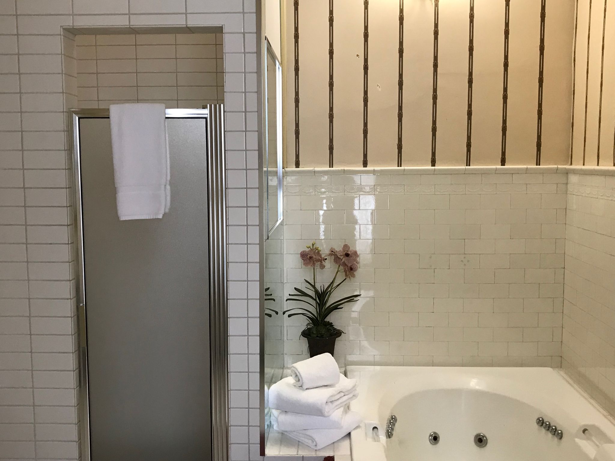 Kylpyhuoneessa on lasiseinällä varustettu suihku, valkoinen amme, jossa on myös lasiseinä, sekä ruukussa oleva orkidea.