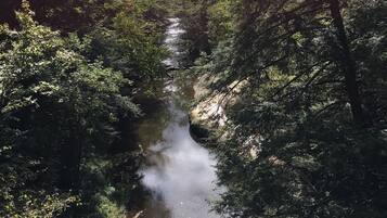 A narrow river flowing through a densely wooded area.