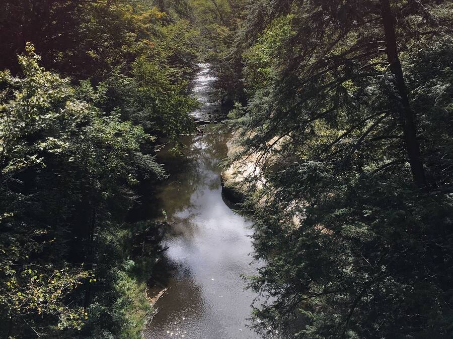 A narrow river flowing through a densely wooded area.
