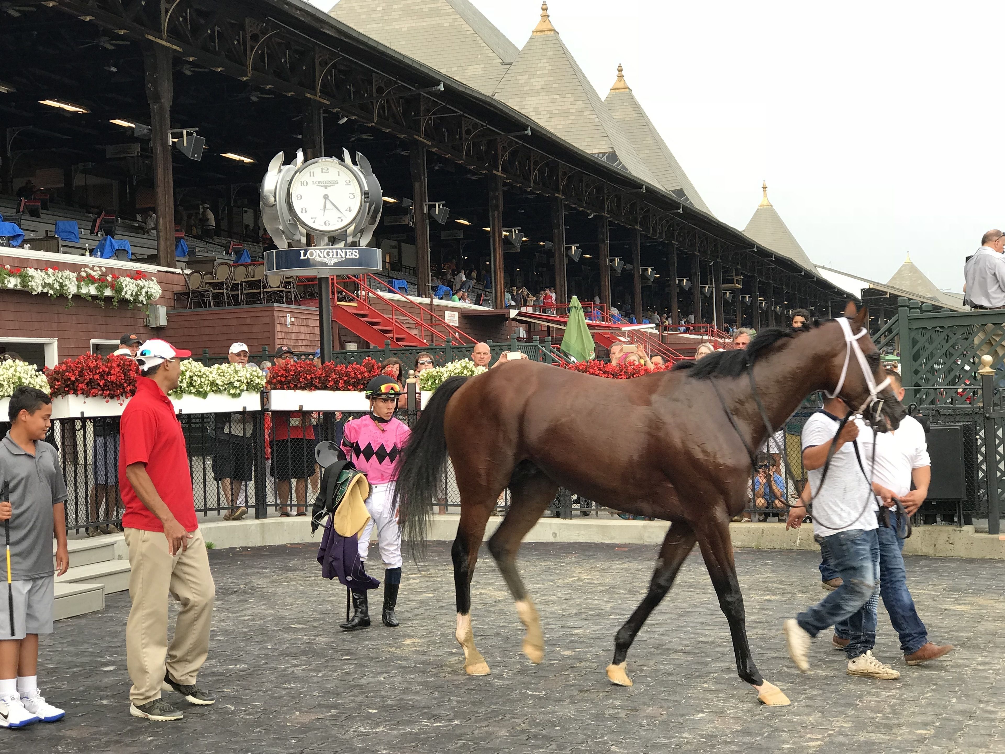 A horse walking past a building with a clock and a sign that reads "LONGINES".