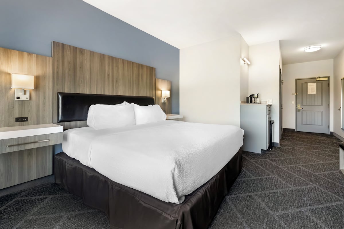 Room, 1 King Bed, Non Smoking | Hypo-allergenic bedding, desk, laptop workspace, blackout drapes