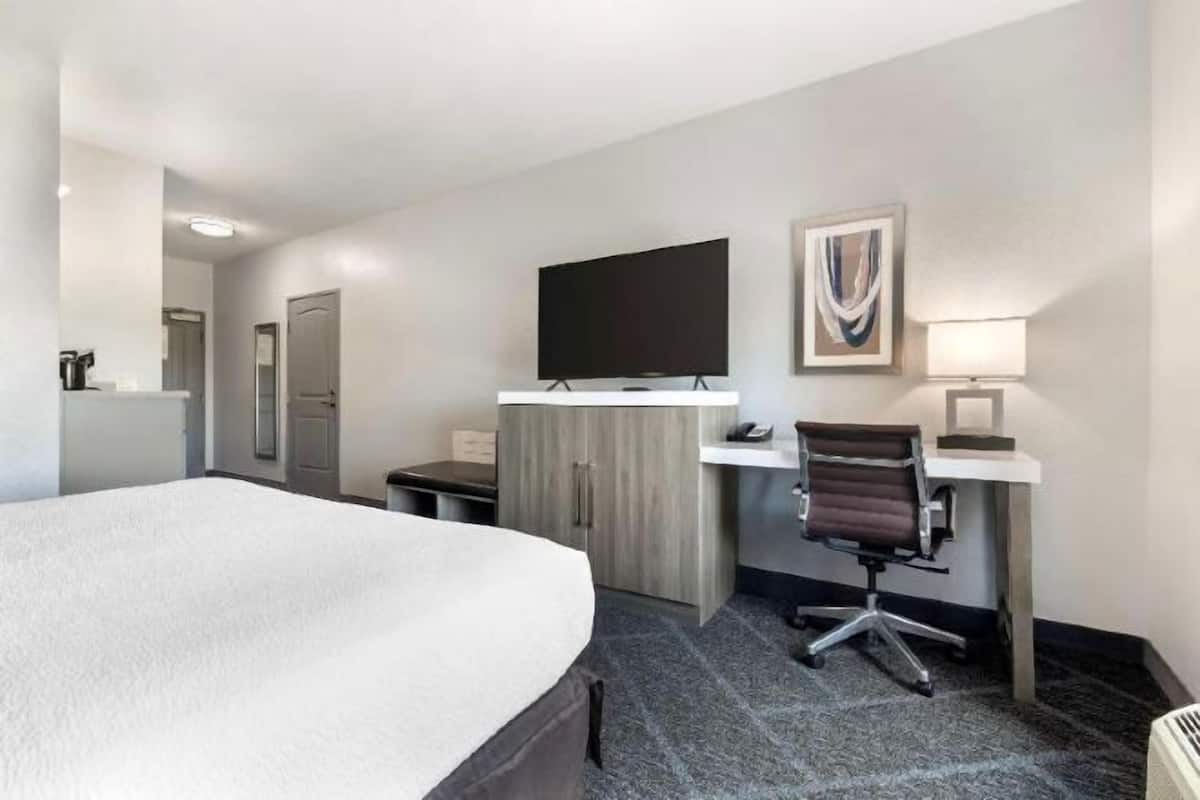 Hypo-allergenic bedding, desk, laptop workspace, blackout drapes