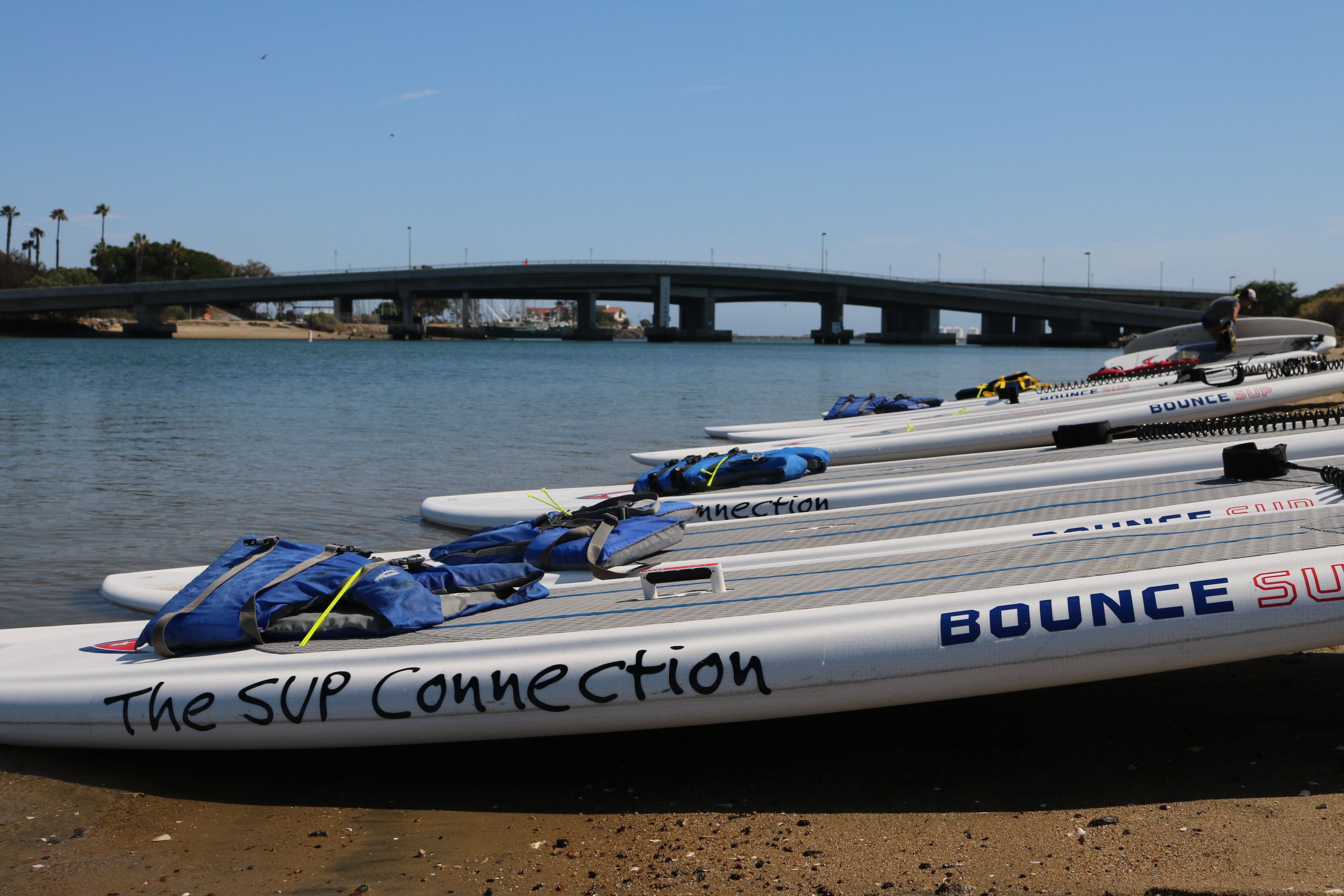 Several SUP boards with "The SUP Connection" and "BOUNCE SUP" written on them, docked at a beach with a bridge in the background.