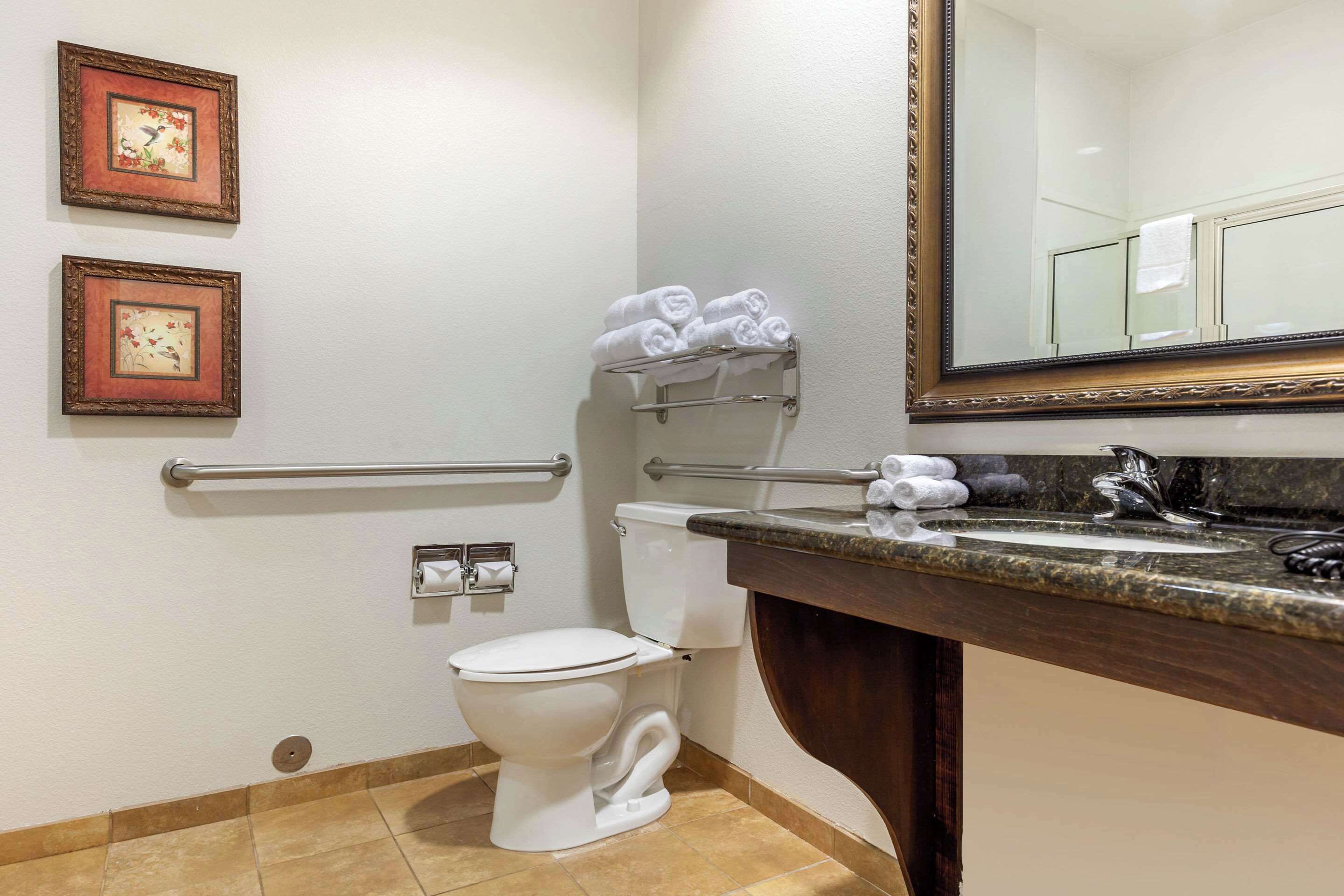 Une salle de bain comprenant des toilettes, un lavabo, un miroir et deux tableaux encadrés accrochés au mur.