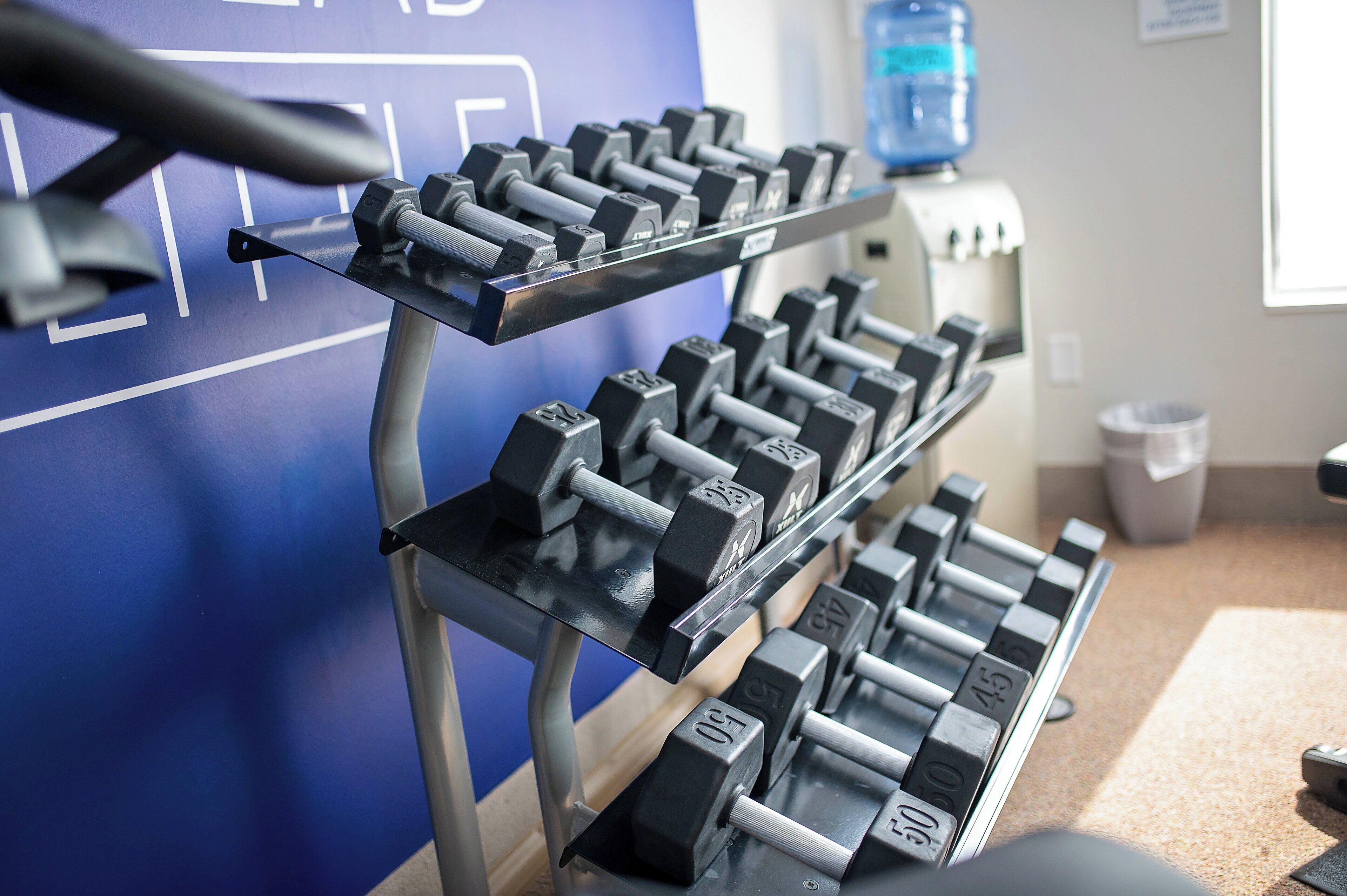 Una hilera de mancuernas en un estante en un gimnasio.