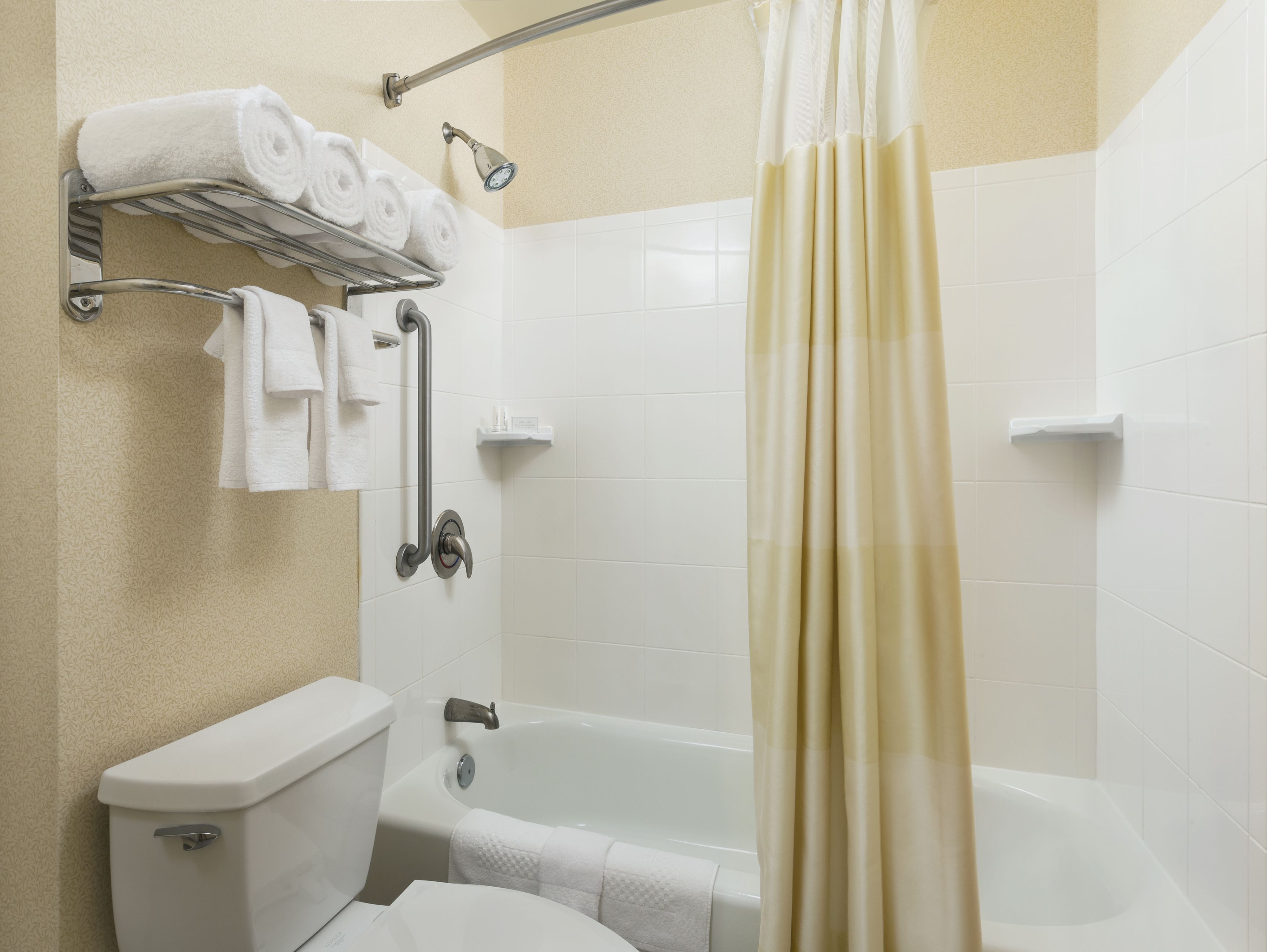 combined shower/bathtub, free toiletries, hair dryer, towels