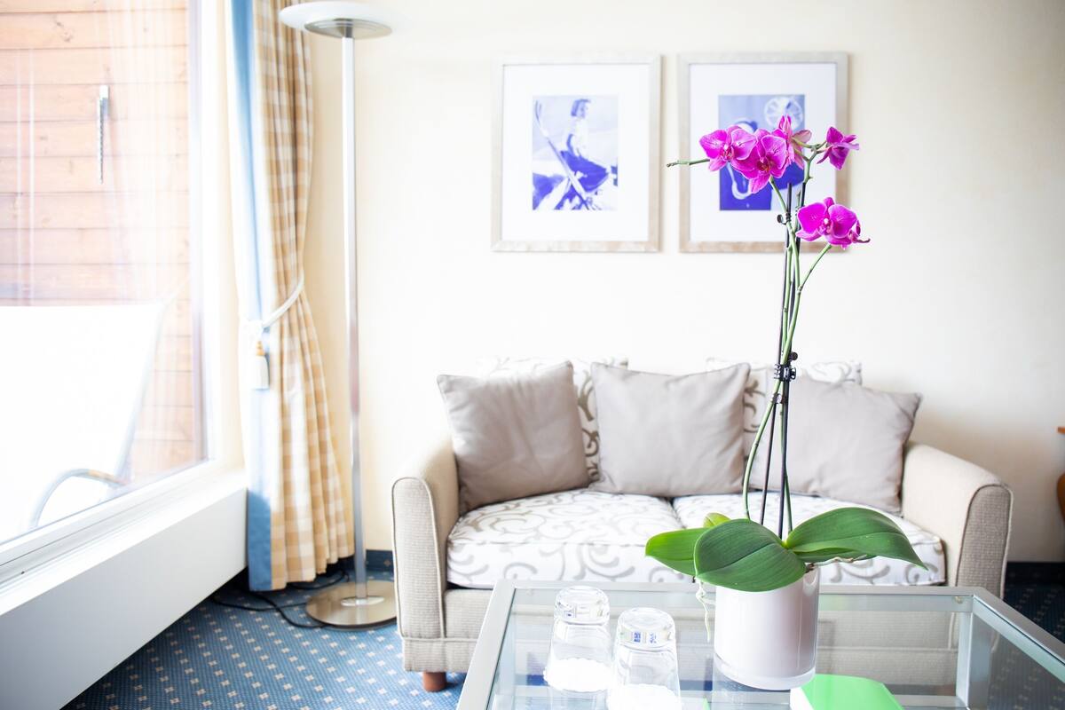 Ein Wohnzimmer mit einer Couch, einem Couchtisch, einer Topf-Orchidee und zwei gerahmten Bildern an der Wand.