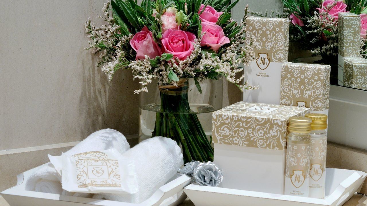 suite | bathroom | combined shower/bathtub, free toiletries, hair dryer, bidet