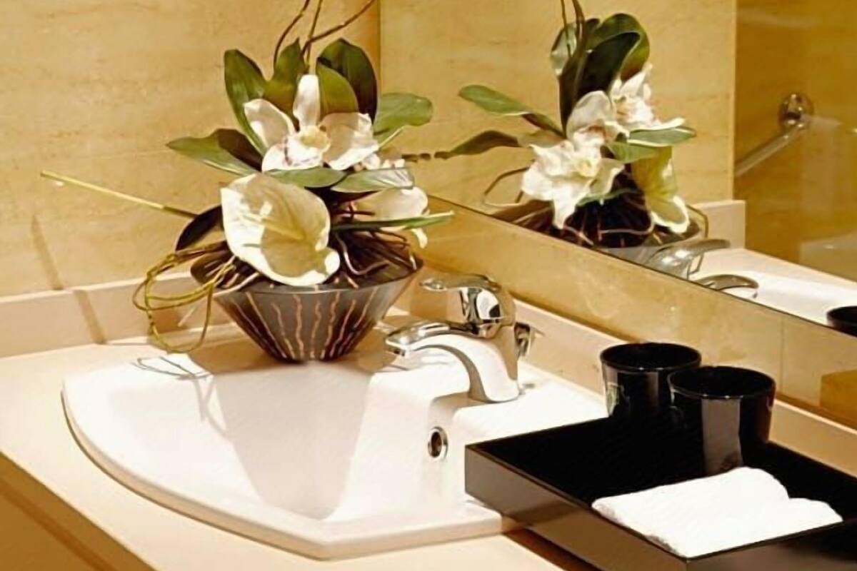 Baño | Tina con regadera, amenidades de baño gratuitas, secadora de cabello