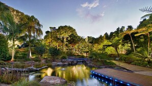 A serene garden with a pond, wooden deck, and lush greenery. - Rydges Campbelltown (Campbelltown)