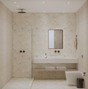Shower, free toiletries, hair dryer, towels