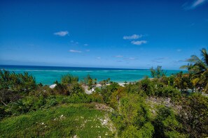 Ein tropischer Strand mit klarem türkisblauem Wasser, üppiger Vegetation und blauem Himmel.