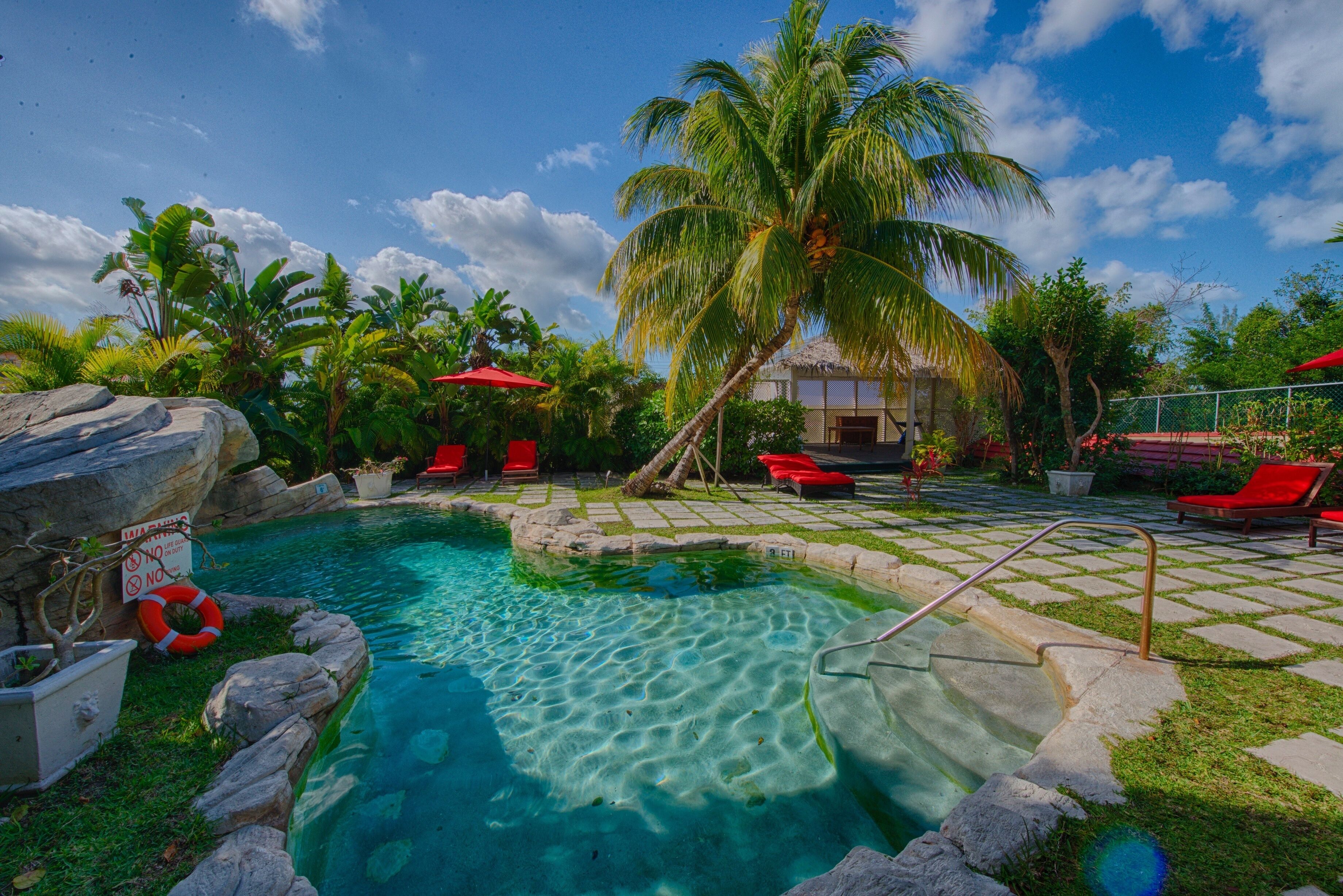 Outdoor pool, pool loungers