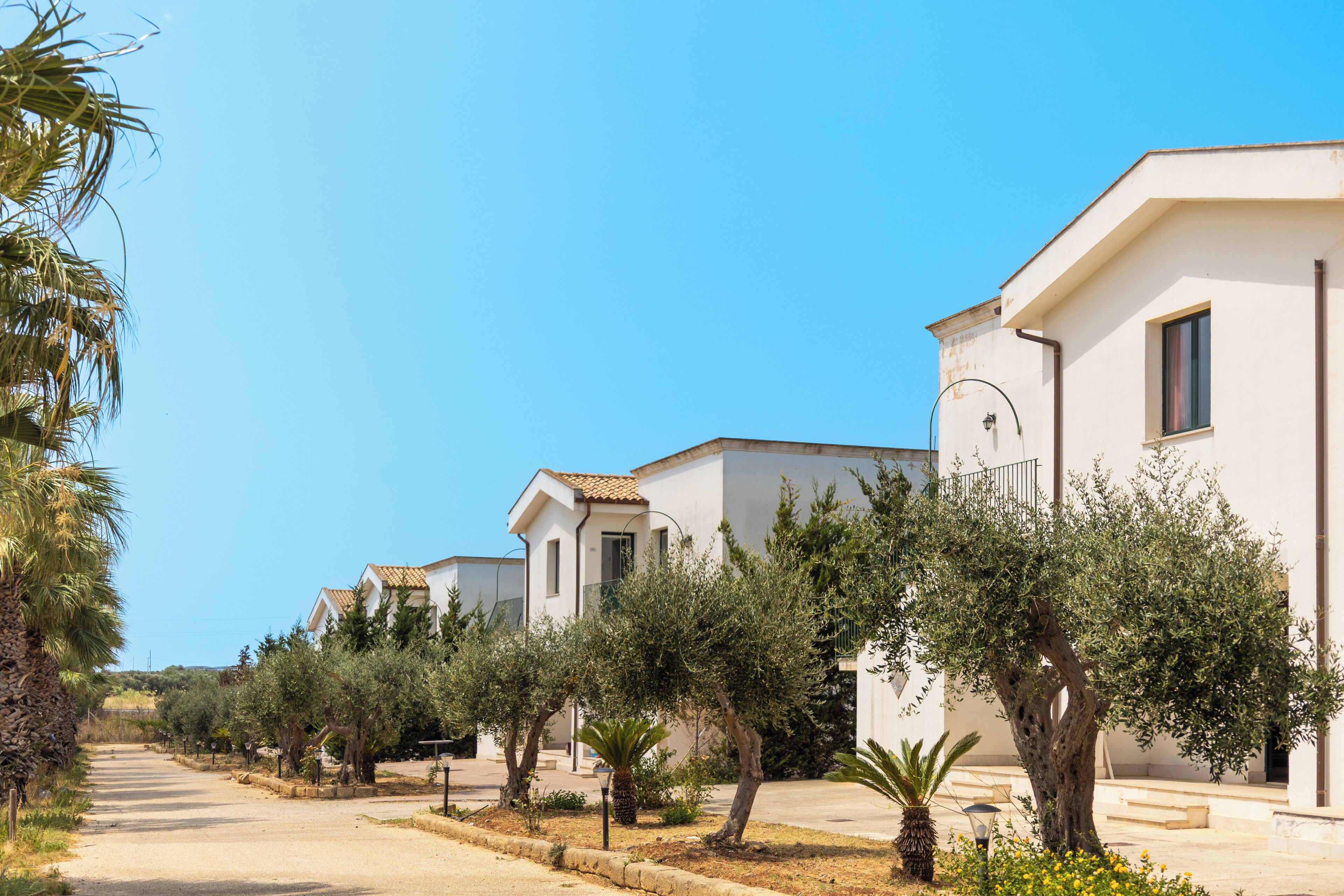 A row of white buildings with tiled roofs, surrounded by olive trees and a clear sky.