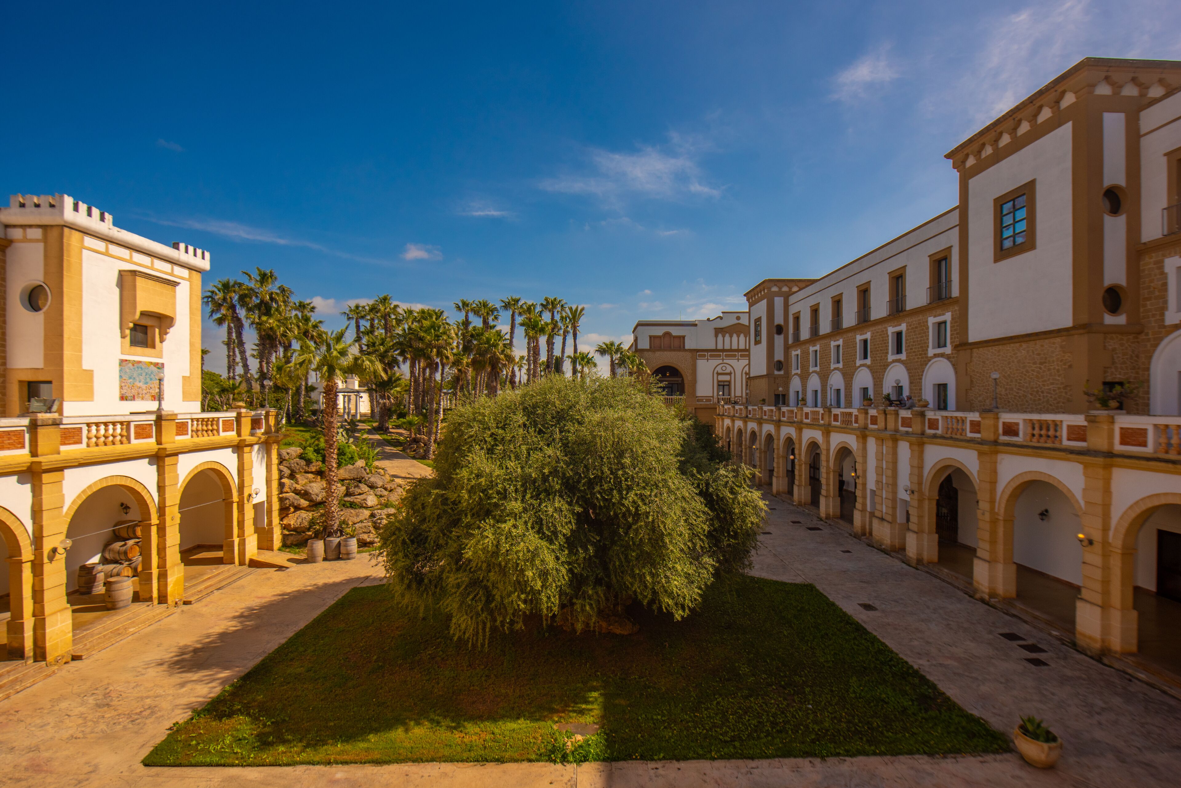 A courtyard with a central tree, surrounded by buildings with arches and balconies.