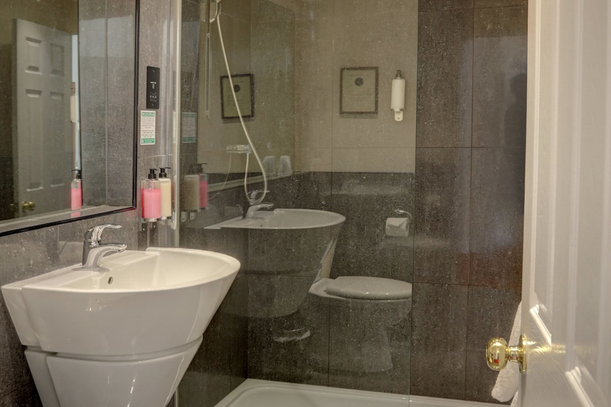 standard room, 1 double bed, non smoking | bathroom | shower, free toiletries, hair dryer, towels