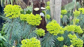 A tree stump with a carved face surrounded by green foliage.