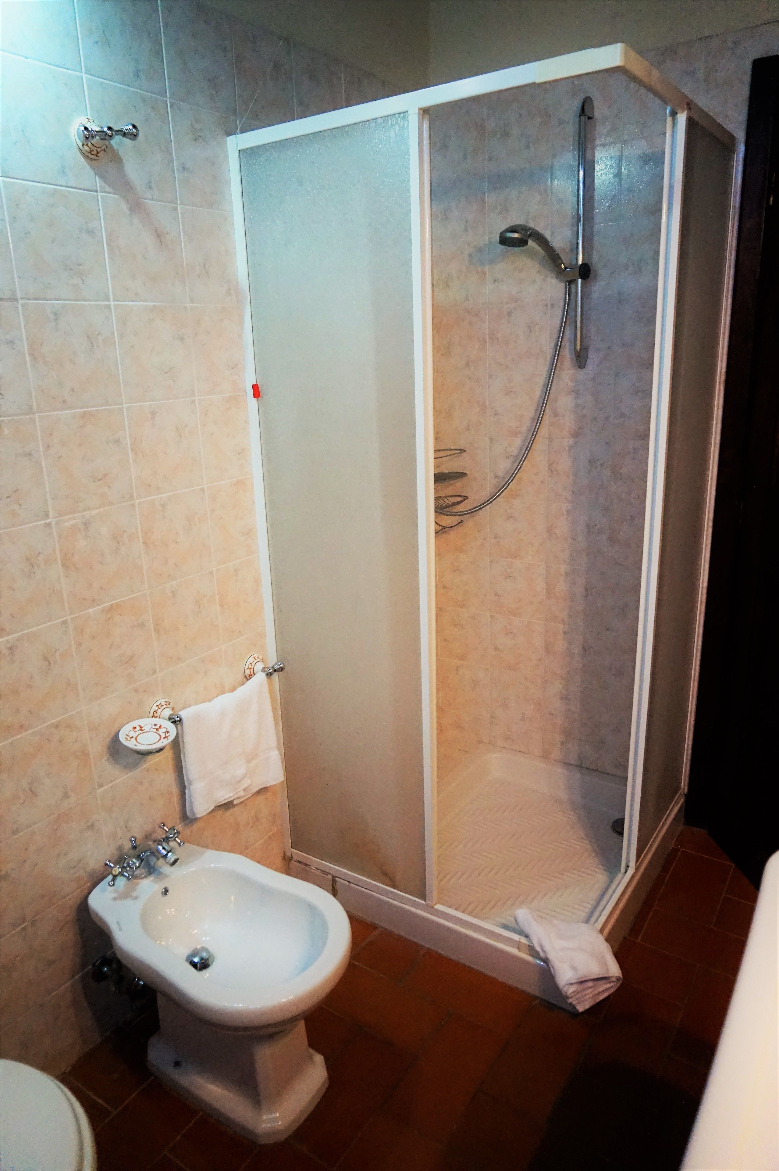 A bathroom with a shower enclosure, a bidet, and a toilet.