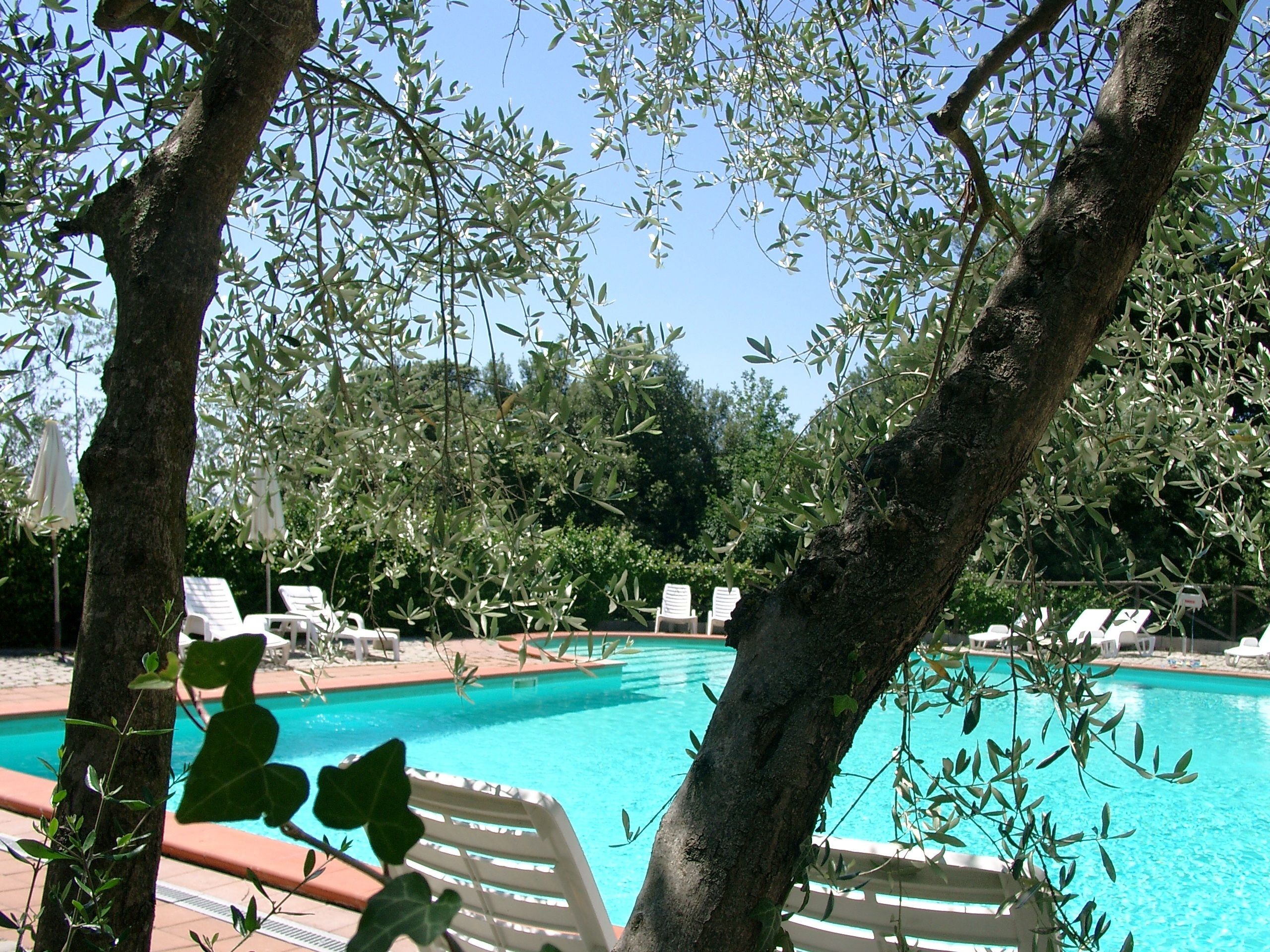 Piscina all'aperto, ombrelloni da piscina, lettini