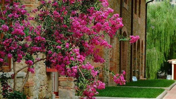 A stone building with a brick facade, a well-maintained lawn, and a pathway leading to the entrance. - Agriturismo Antico Borgo Poggitazzi (Terranuova Bracciolini)