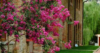 Agriturismo Antico Borgo Poggitazzi