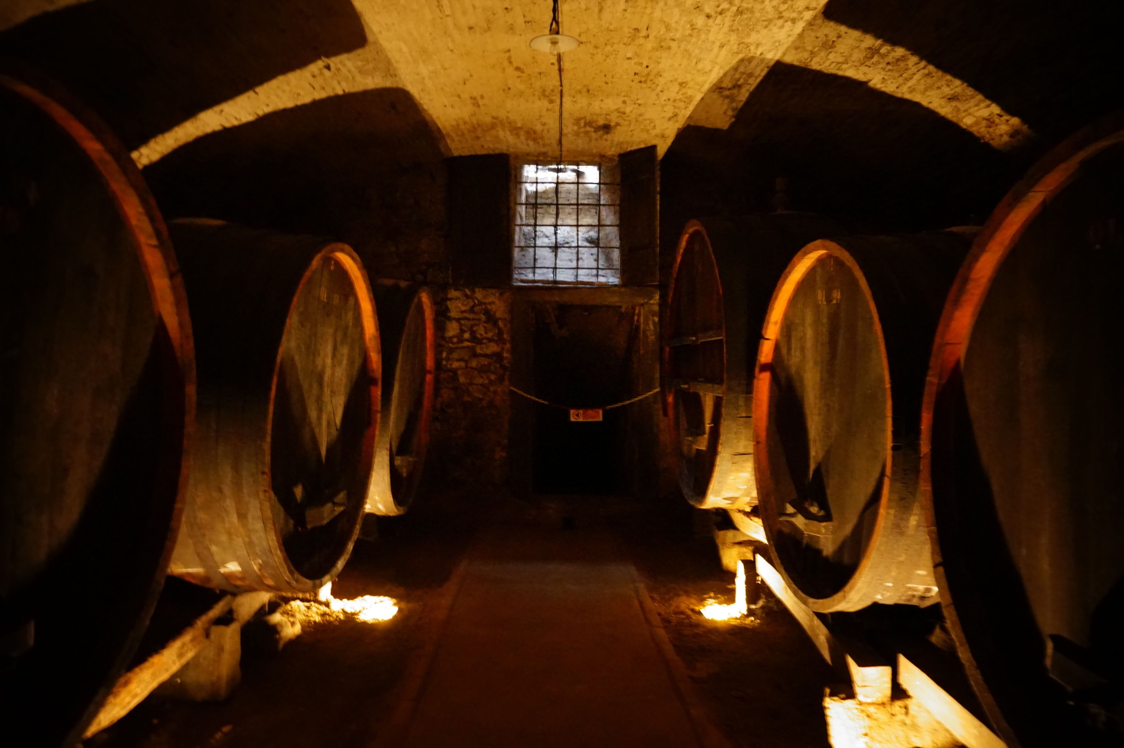 A dimly lit cellar with wooden barrels arranged in rows, a stone wall, and a small window with bars.