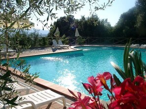 Outdoor pool, pool umbrellas, pool loungers