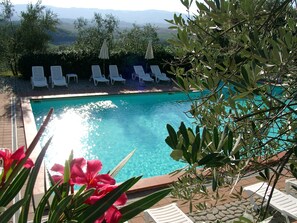 Outdoor pool, pool umbrellas, pool loungers