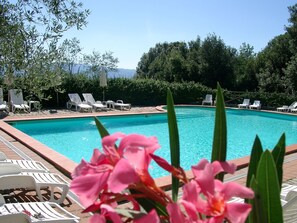 Una piscina con sillas de descanso blancas y vistas a árboles y montañas al fondo.
