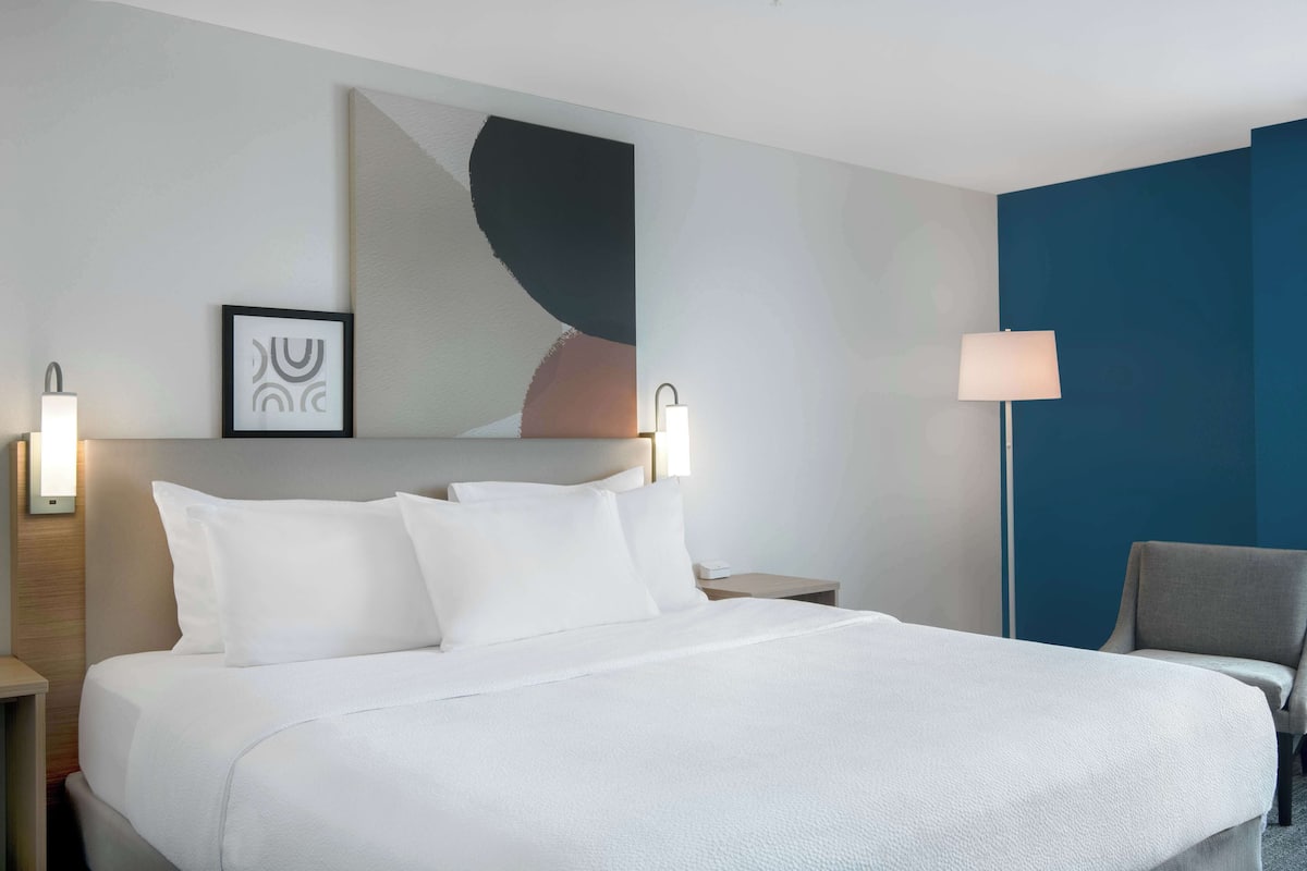 Room, 1 King Bed