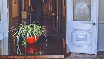 Un pasillo con una planta en maceta, una puerta con un panel de vidrio decorativo y baldosas de suelo con diseño.