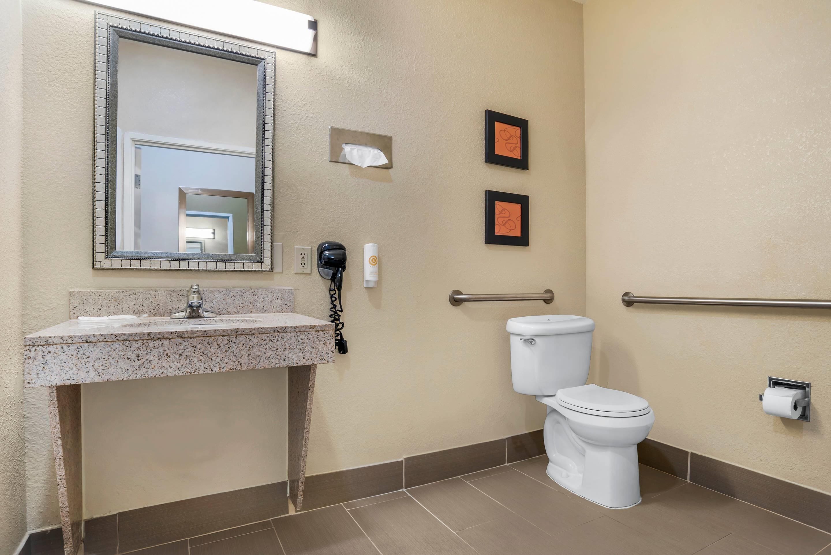 A bathroom with a sink, mirror, toilet, and handrails.