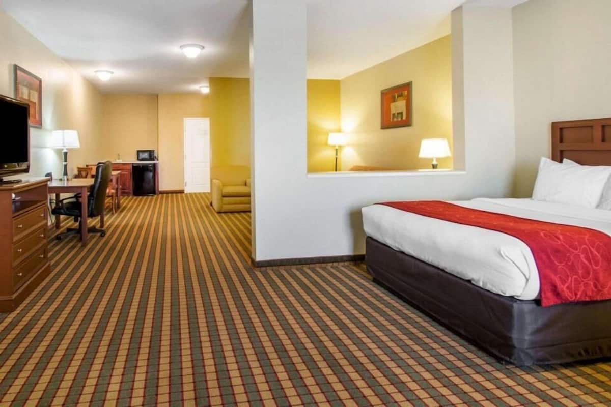 Una habitación de hotel con una cama, un escritorio con computadora, una silla y televisión.