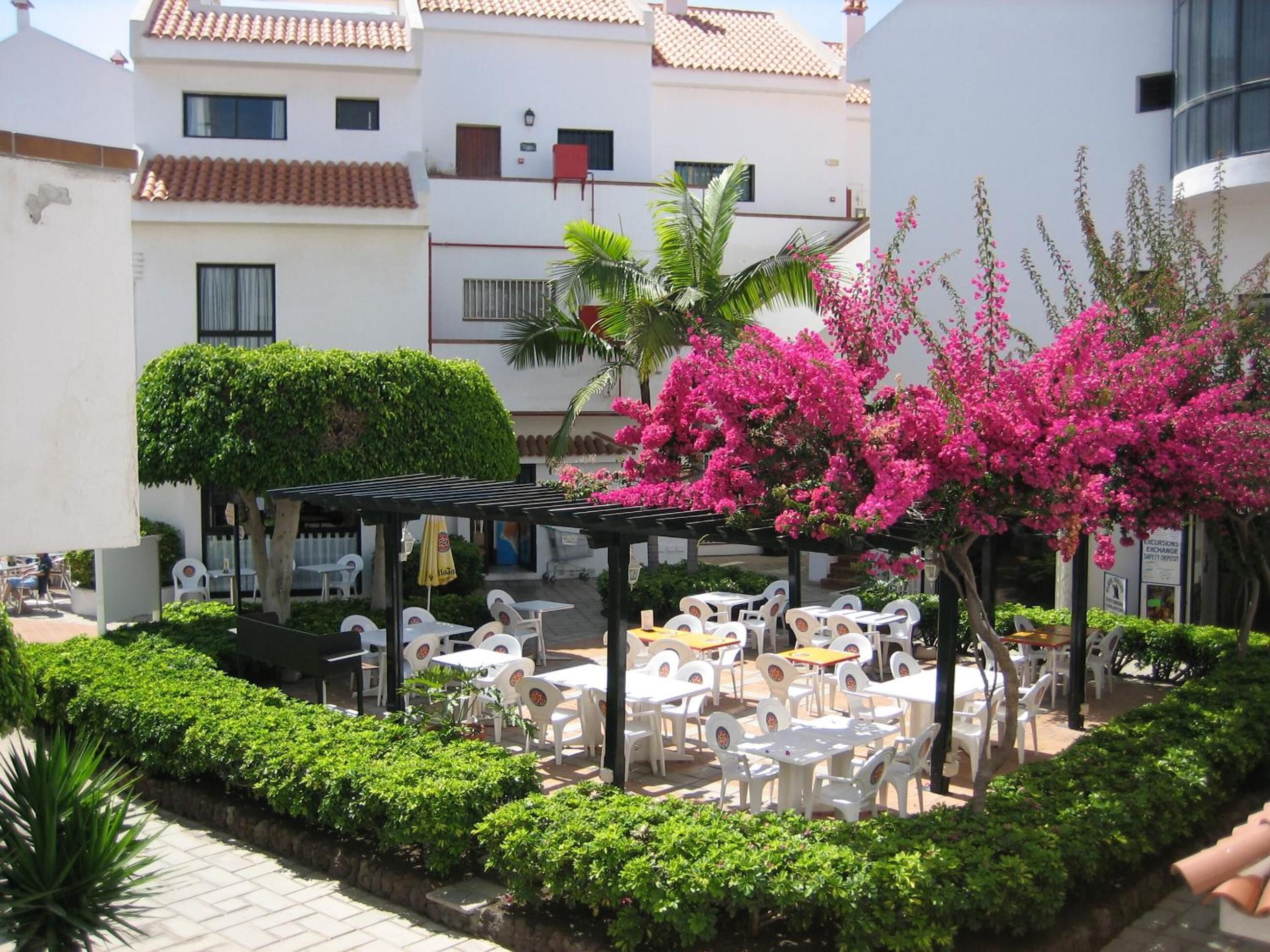 Un espace extérieur aménagé en terrasse, avec des tables et des chaises en plastique blanc, entouré de verdure et de plantes en fleurs.