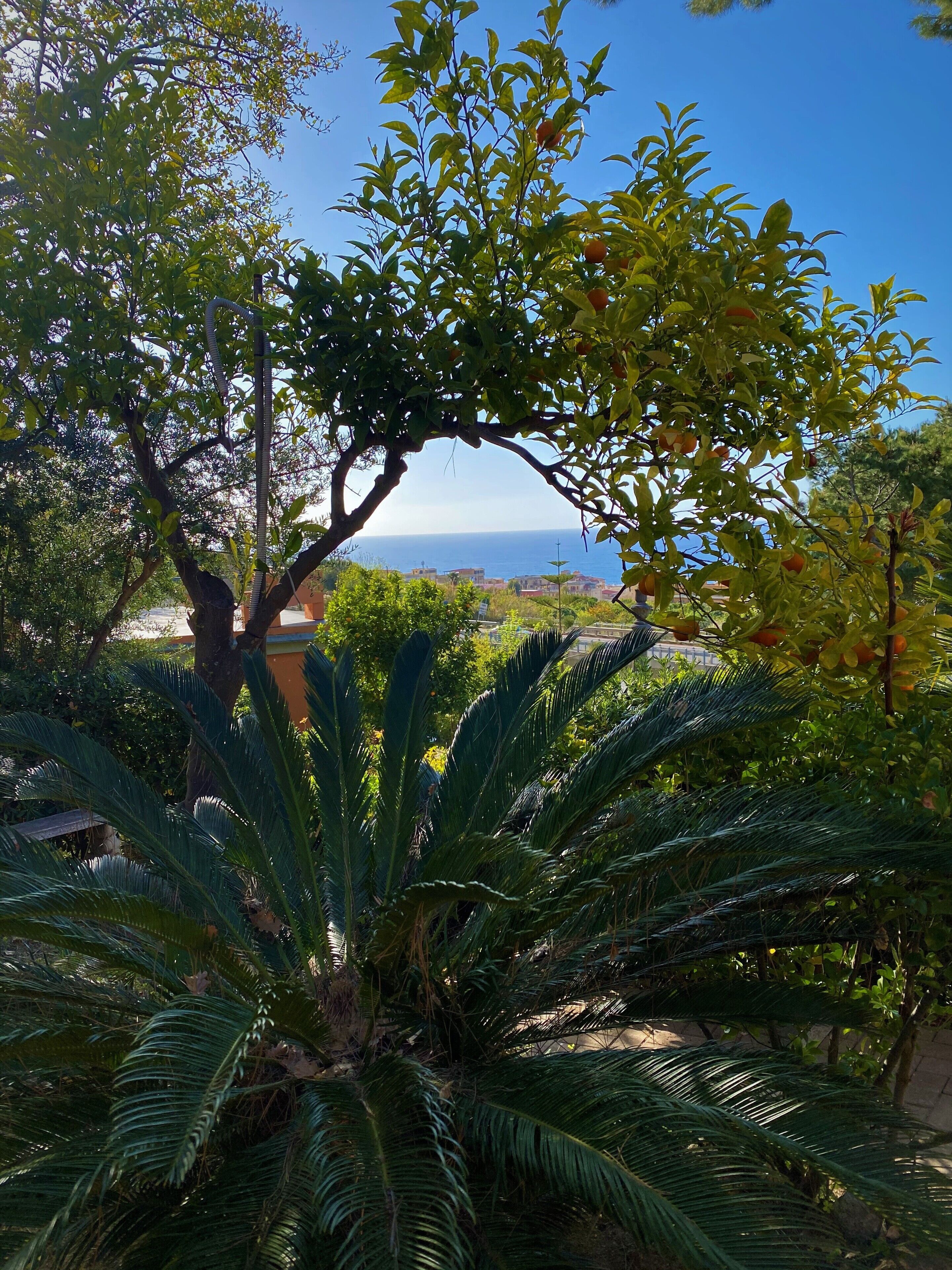 Foto - Hotel Calysea Tropea - Breakfast & Brunch Until 13-00 Included - Free Private Parking