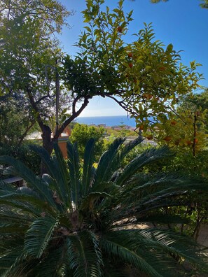 Courtyard - Hotel - Giardino Marchese d'Altavilla (Tropea)