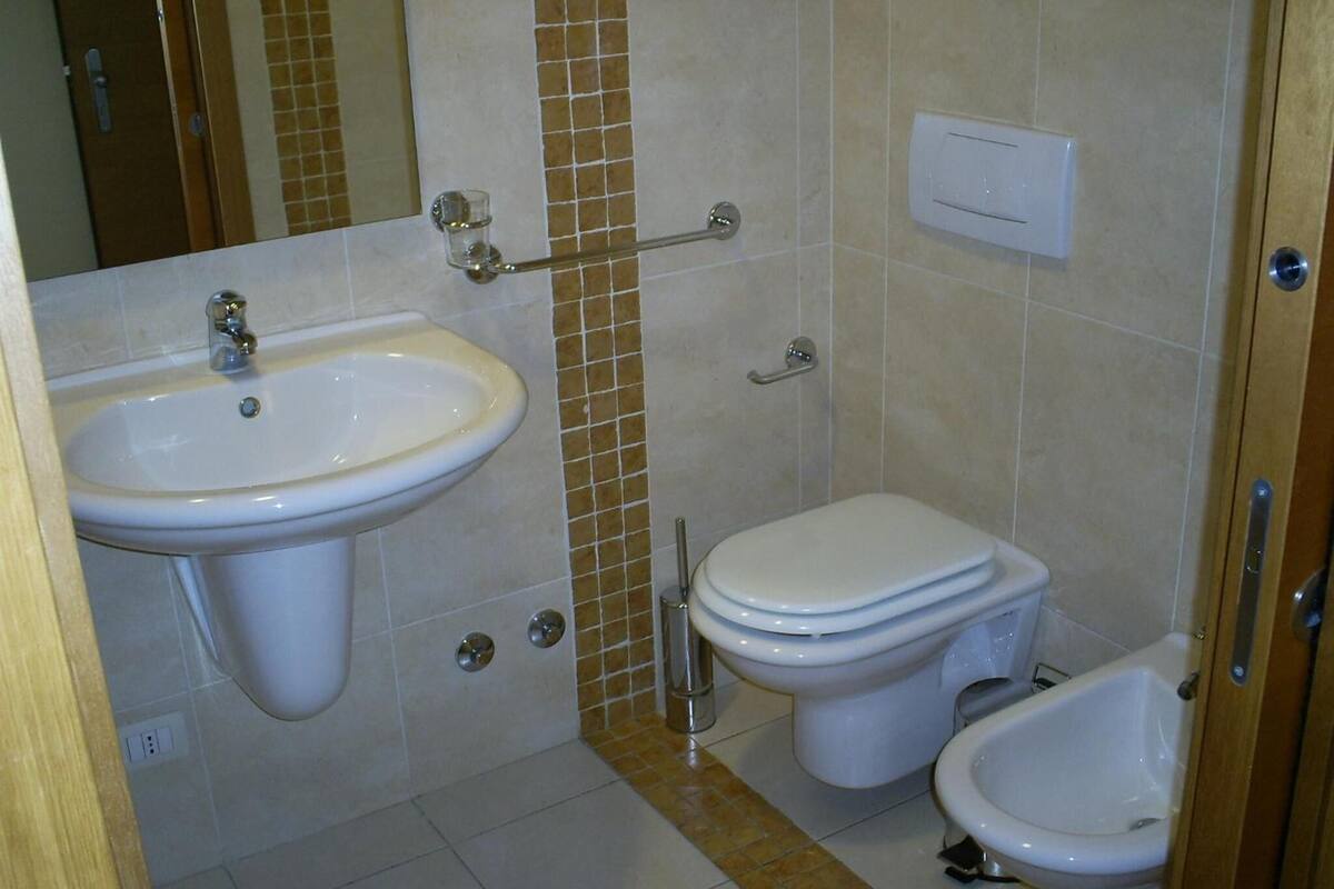 shower, free toiletries, hair dryer, bidet