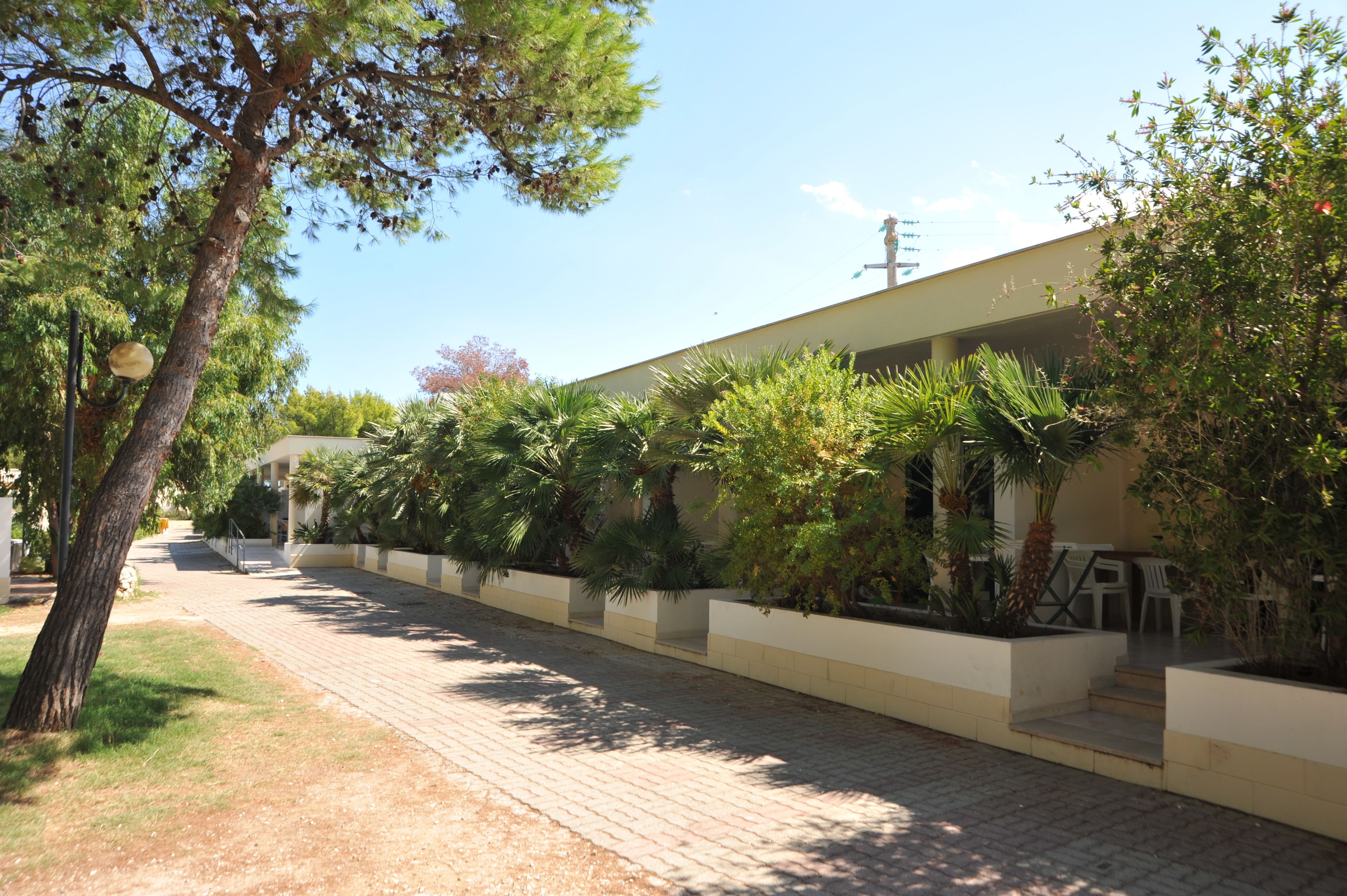 A pathway lined with planters and trees leading to a building with a flat roof and a visible satellite dish.