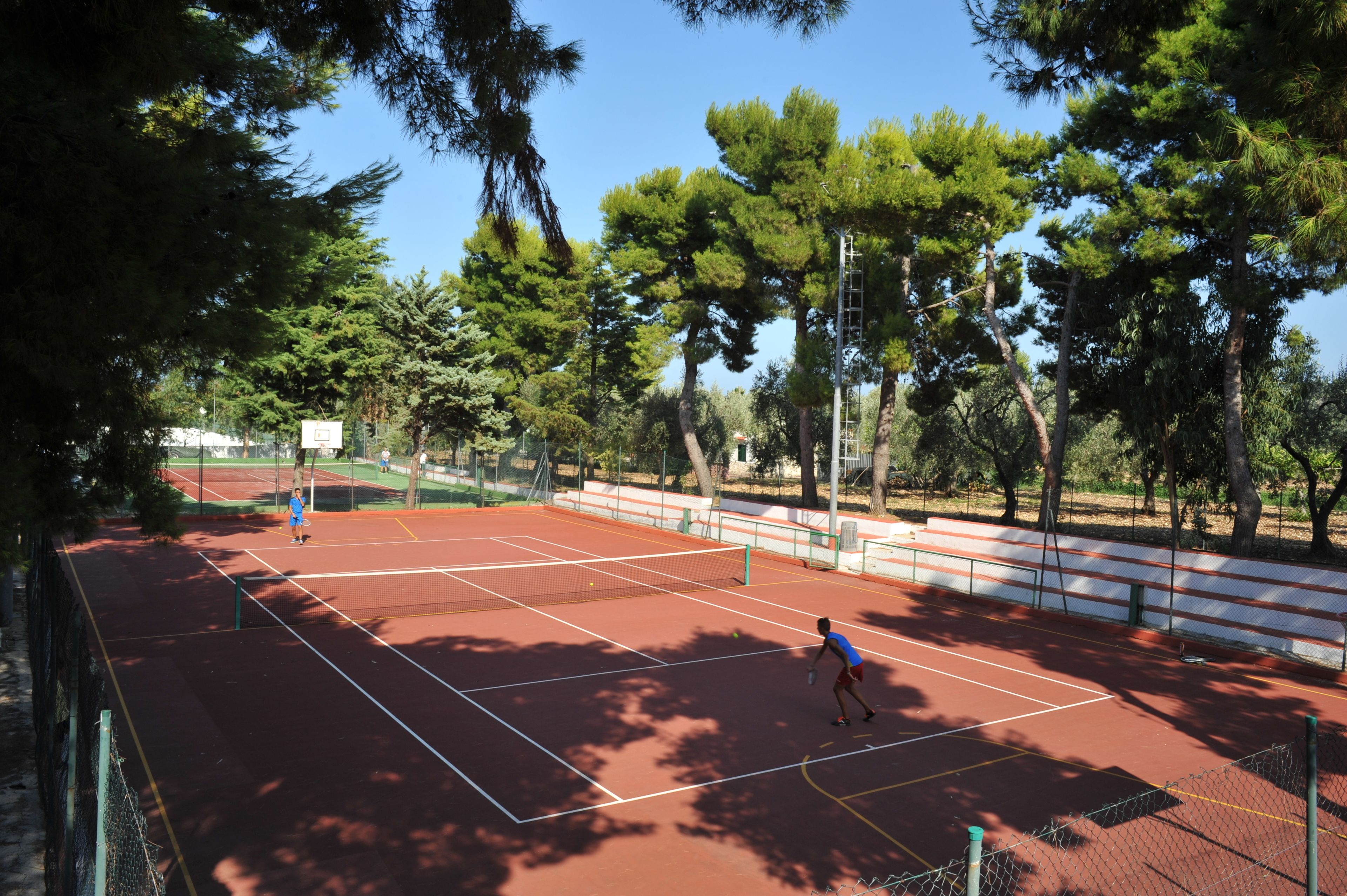 Ein Tennisplatz im Freien, umgeben von Bäumen.
