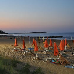 Plage, navette gratuite vers la plage, chaises longues, parasols