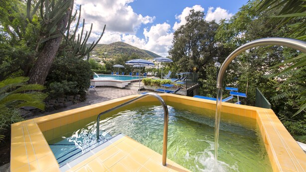 Ein Poolbereich mit klarem Wasser, umgeben von viel Grün und einem Berg im Hintergrund.