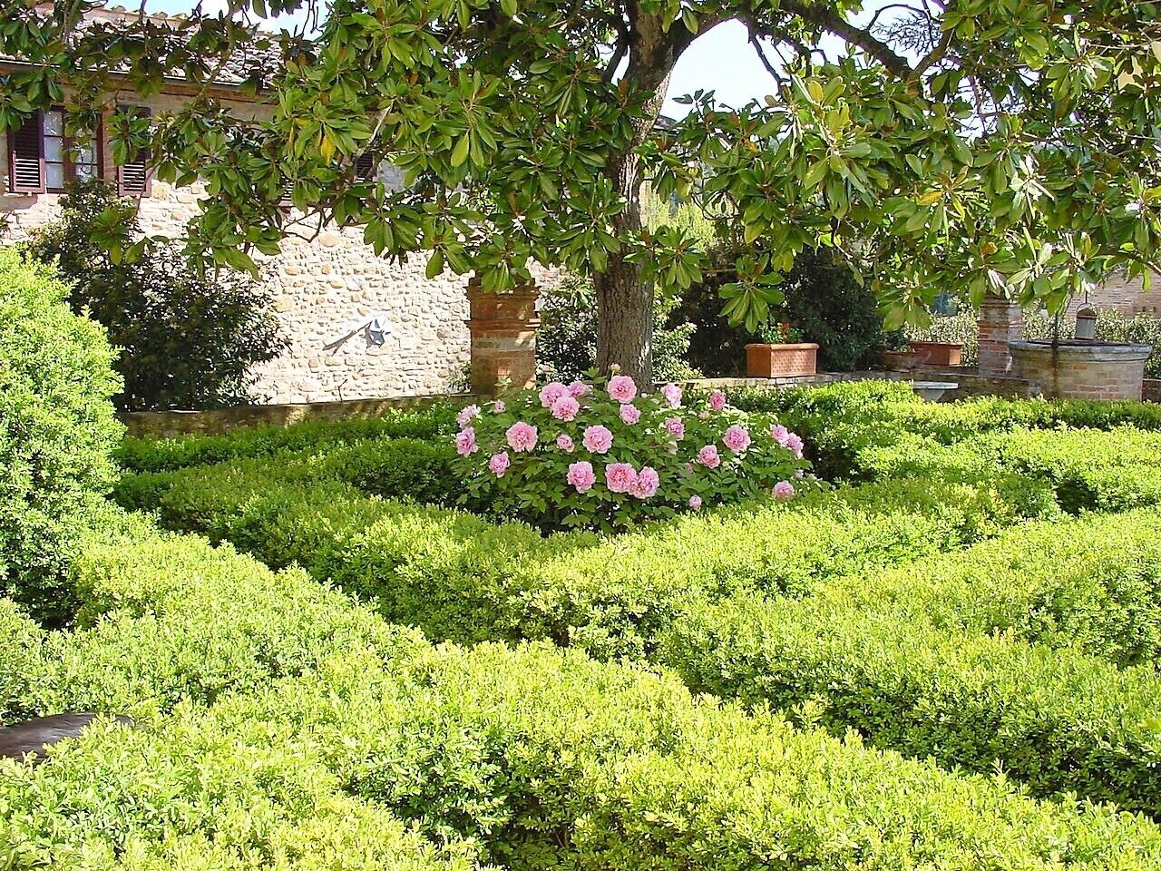 A garden with neatly trimmed hedges and a flowering shrub.