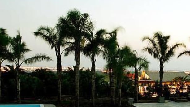 A swimming pool with palm trees and a distant view of a resort area. - Disio Resort (Marsala)