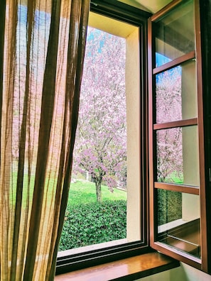 Suite | Garden view
