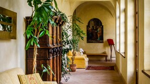A hallway with a yellow sofa, a patterned rug, and a large potted plant.